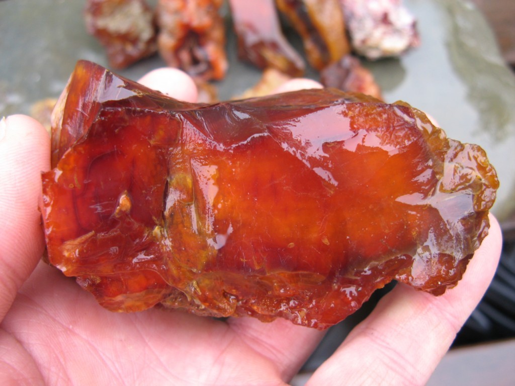 carnelian agate oregon